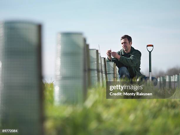 man tending to young trees - planting stock-fotos und bilder