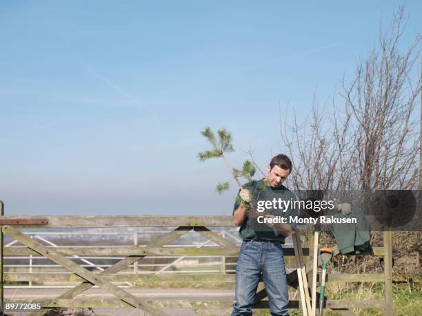 Checking Tree Planting Farmer Planting A Tree Photos and Premium High Res Pictures - Getty Images