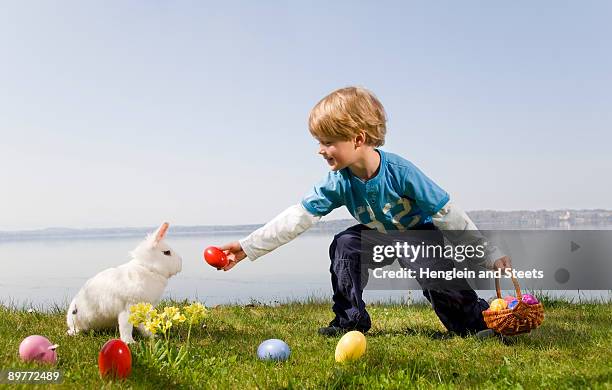 boy, bunny finding easter eggs - easter eggs basket stock-fotos und bilder