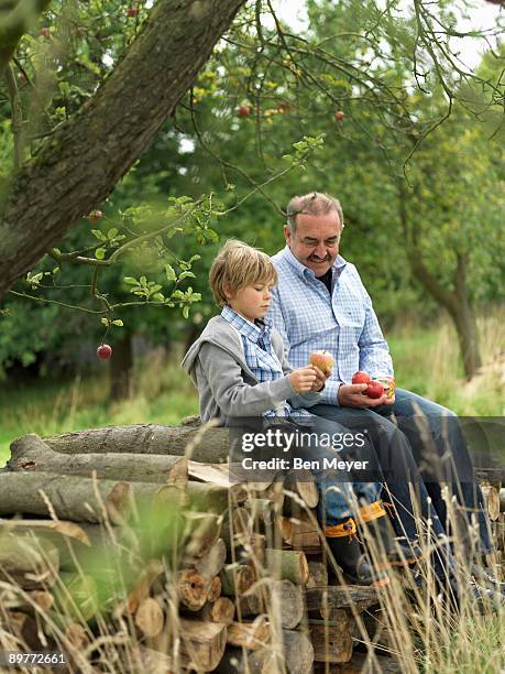 man and boy with apples, sitting on logs - munich autumn stock pictures, royalty-free photos & images