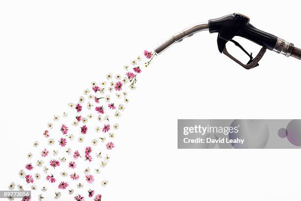 a petrol pump releasing flowers - spray nozzle stock pictures, royalty-free photos & images