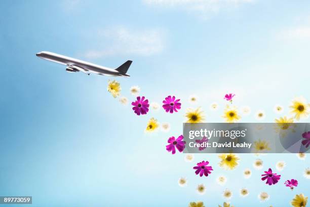 a plane emitting flowers - emitting stock pictures, royalty-free photos & images