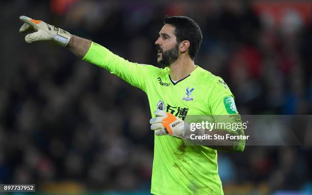 Palace goalkeeper Julian Speroni in action during the Premier League match between Swansea City and Crystal Palace at Liberty Stadium on December 23,...