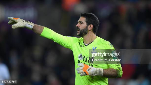 Palace goalkeeper Julian Speroni in action during the Premier League match between Swansea City and Crystal Palace at Liberty Stadium on December 23,...