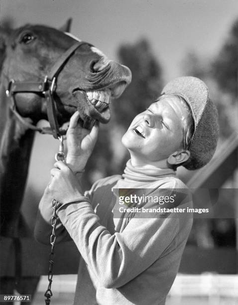 The american Kidsstar Mickey Rooney brings during the shooting to the Hollywood - Film Blood Lines the horse Faithful to laugh. Photograph. Around...