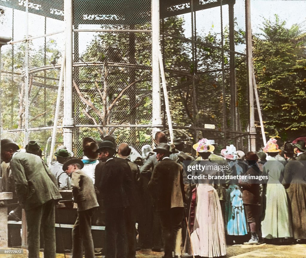 The monkey house at the Schoenbrunn Zoo. Vienna, 13th district. Hand-colored lantern slide. Around 1900.