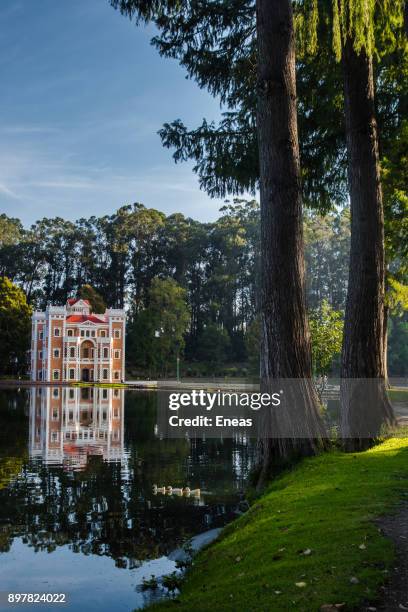 ex-hacienda de chautla, puebla - puebla mexico fotografías e imágenes de stock