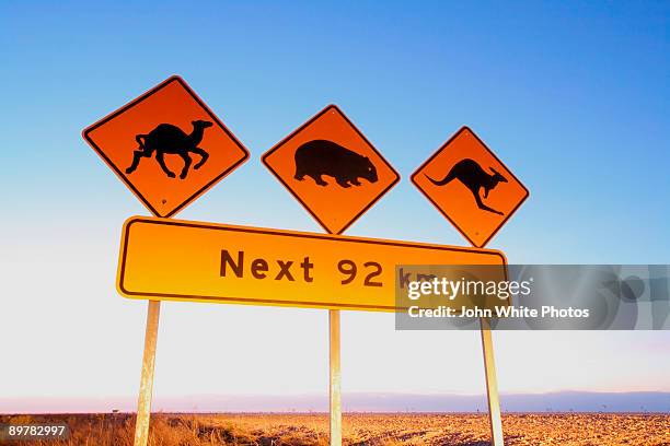 camel wombat and kangaroo sign. australia. - camel crossing sign stock pictures, royalty-free photos & images
