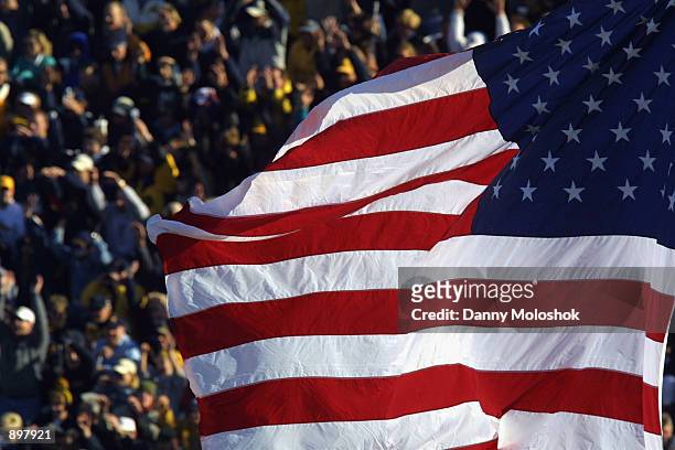Detail of the American Flag during the Big Ten Conference football game between the Minnesota Golden Gophers and the Michigan Wolverines on November...