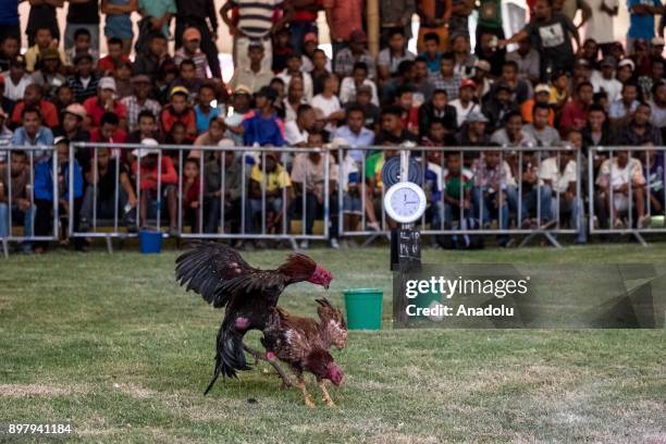 People watch a cockfight in Antananarivo, Madagascar, on December 24, 2017. Locals breed roosters with caution and fight them for fun and bets....