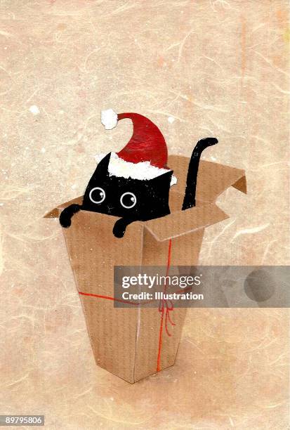 stockillustraties, clipart, cartoons en iconen met cat gift - huisdierenkleding