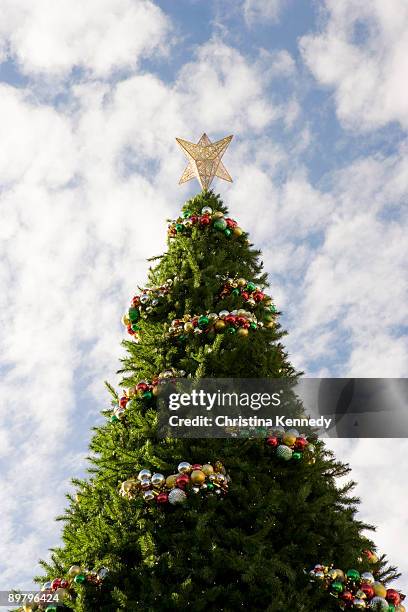 a large decorated christmas tree, outdoors - christina ramos - fotografias e filmes do acervo