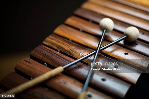 a xylophone - xylophone stock pictures, royalty-free photos & images