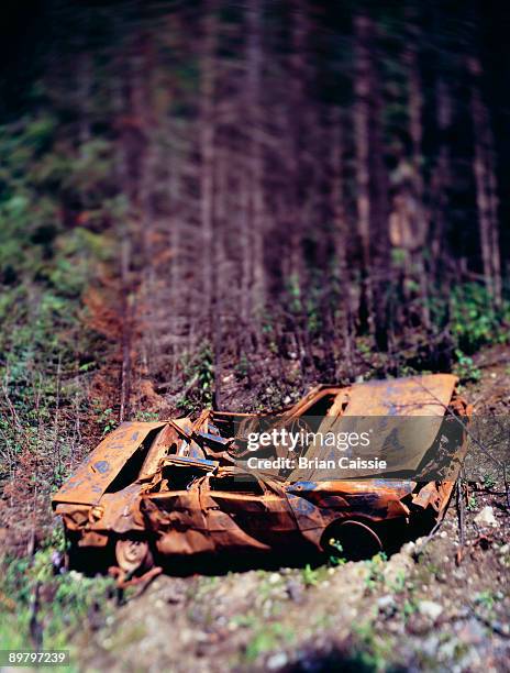 a rusted car wreck, tilt-shift photography - câmara de formato grande imagens e fotografias de stock