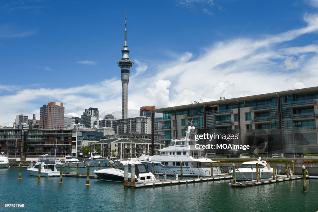 Auckland city