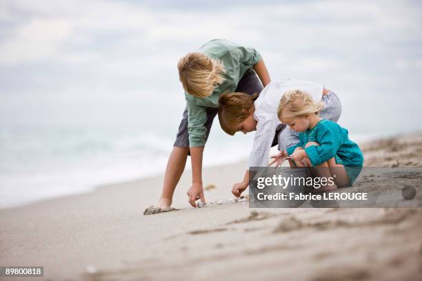 Boy And Shells 903 Boy Seashells Stock Photos, High-Res Pictures, and Images - Getty ...