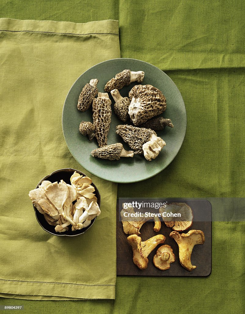 Assorted wild mushrooms