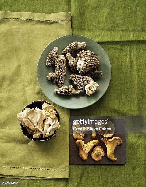 Assorted Wild Mushrooms High-Res Stock Photo