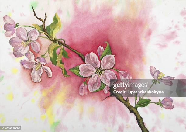 a branch of a blossoming apple-tree - apple orchard stock illustrations