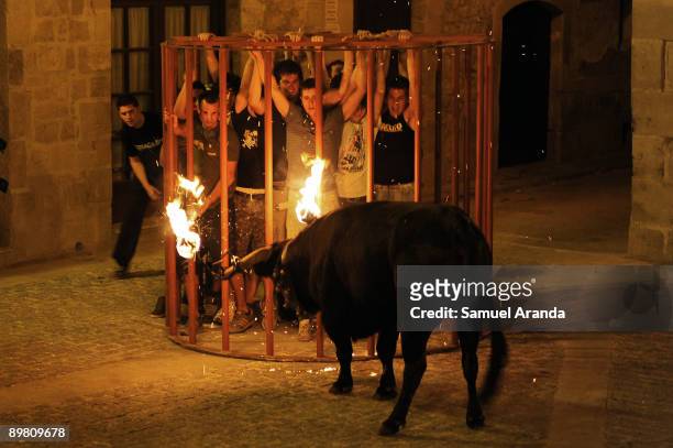 People are caged in front of a bull on fire during the The Fiesta Del Toro Embolao on August 15, 2009 in the village of Cretas, eastern Spain.This...