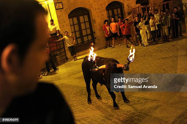 Bull with flaming horns prepares to charge during the The Fiesta Del Toro Embolao on August 15, 2009 in the village of Cretas, eastern Spain.This...