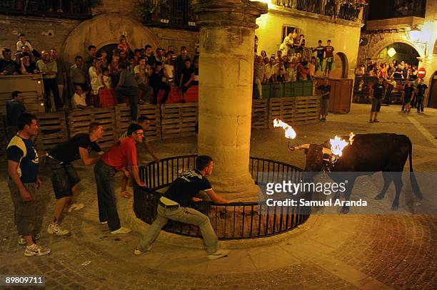 People run from a bull on fire during the The Fiesta Del Toro Embolao on August 15, 2009 in the village of Cretas, eastern Spain.This type of...