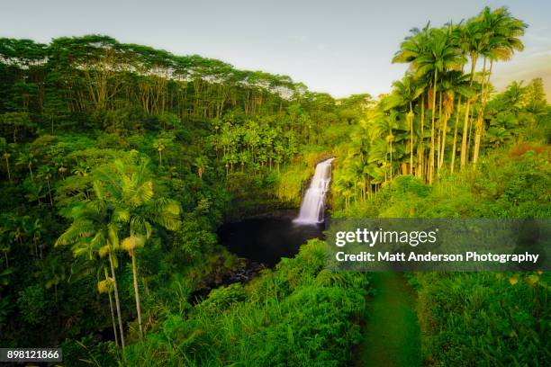 kulaniapia falls #1 - water fall hawaii 個照片及圖片檔