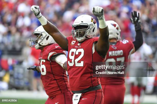 Defensive end Frostee Rucker of the Arizona Cardinals celebrates after a defensive play against the New York Giants in the first half at University...