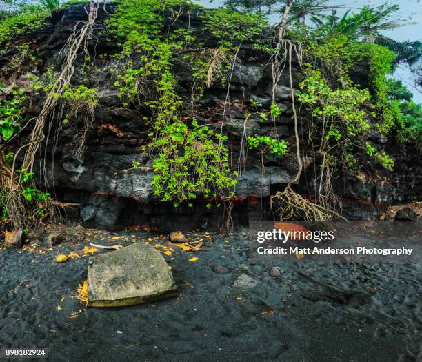 kehena beach vines #1 - castaway island fiji stockfoto's en -beelden