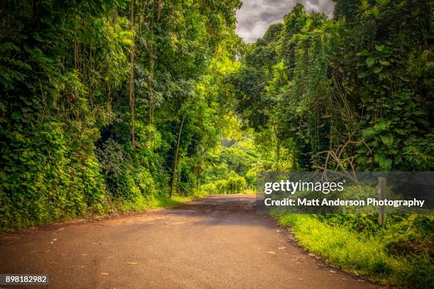 road to hana wailua falls grotto - lush rainforest stock pictures, royalty-free photos & images