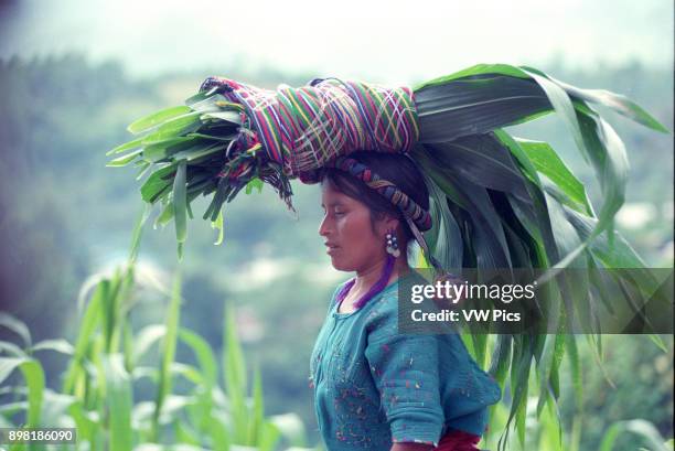 Dangerous dirt roads along the mountains of El Quiche lead to Santa Rosa del Quiche northwest of Guatemala City..