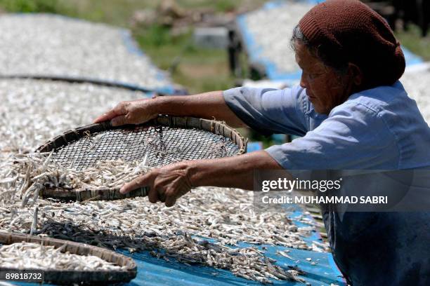 Muhammad Fish 1,849 Muhammad Fish Stock Photos, High-Res Pictures, and Images - Getty ...