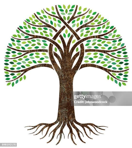 großen grünen baum wurzeln abbildung - roots stock-grafiken, -clipart, -cartoons und -symbole