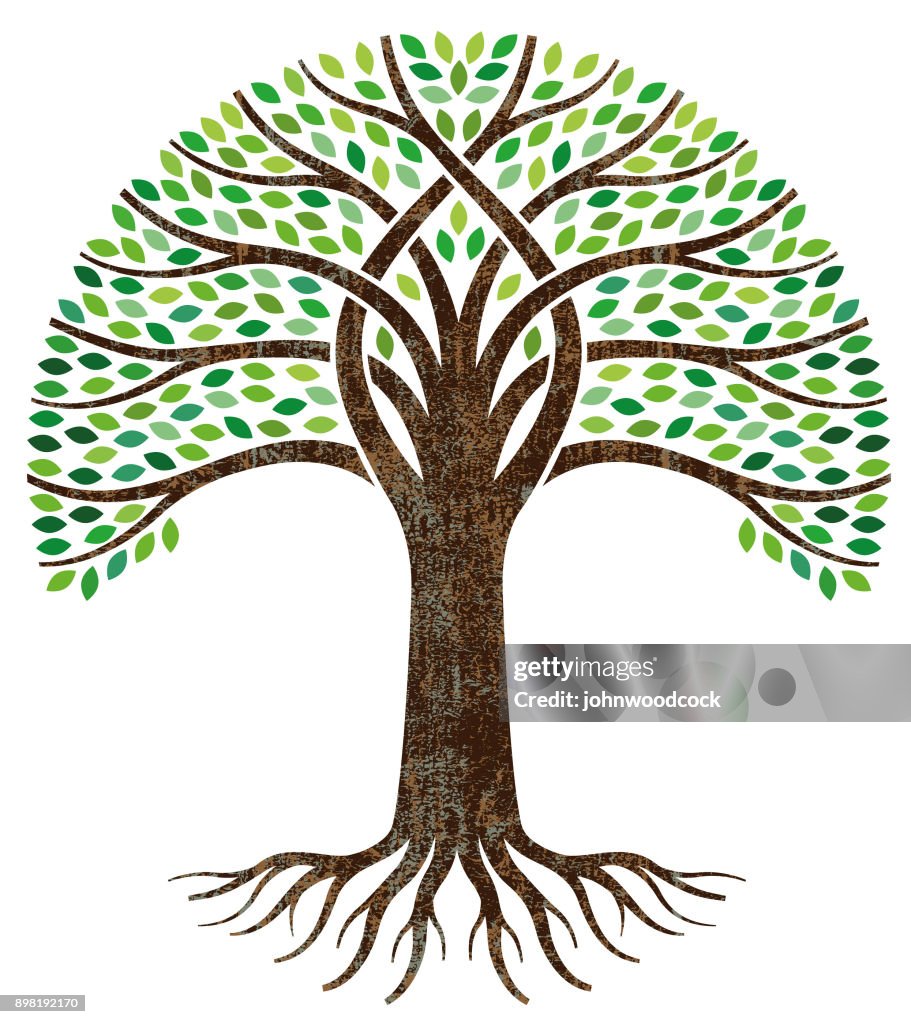 Big green tree roots illustration