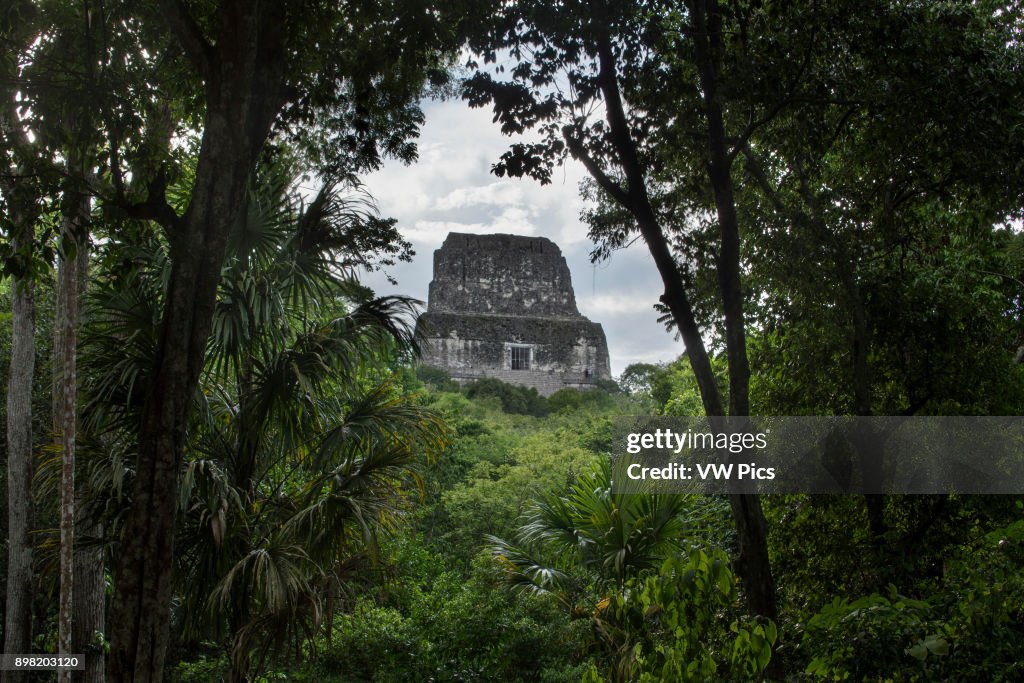 Temple IV, in the Mayan acheological site of Tikal is the tallest pre-Columbian structure still standing in the New World at 64