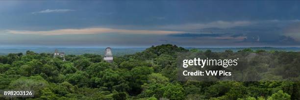 Panoramic view of Temples I, II, III and the Lost World Pyramid from Temple IV in the Mayan archeological site of Tikal National Park, Guatemala. A...