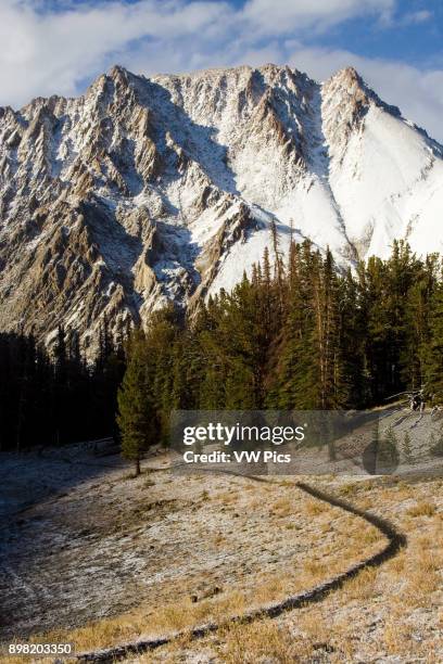 Castle Peak soars 11,815 into the sky. This view of this iconic mountain is from above Chamberlain Basin, a popular spot with hikers. This area,...