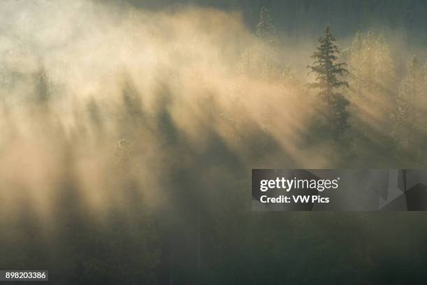 White Cloud Mountains, Sawtooth National Recreation Area, Idaho..