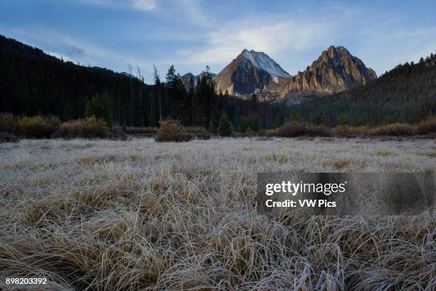 Castle and Merriam peaks reflect in a beaver pond in the Little Boulder Creek valley. Sawtooth National Recreation Area, Idaho..