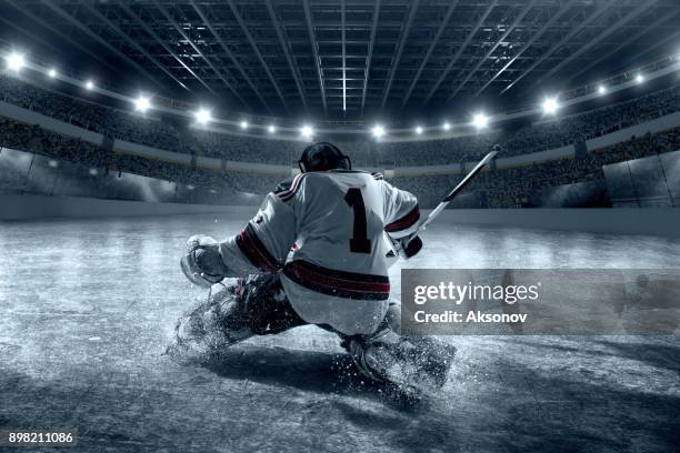 ice hockey goalkeeper protects the goal. back view - professional hockey stock pictures, royalty-free photos & images
