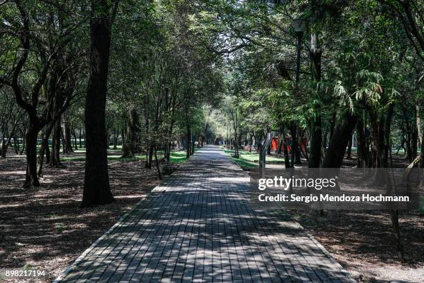 chapultepec park - mexico city, mexico - bosque de chapultepec stockfoto's en -beelden