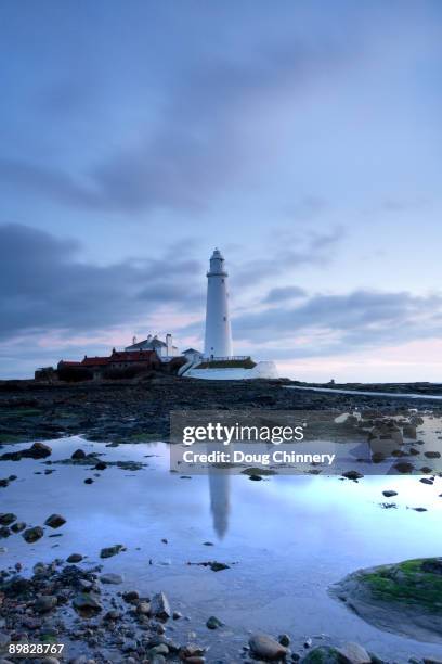 st. mary's lighthouse - tynemouth stock pictures, royalty-free photos & images