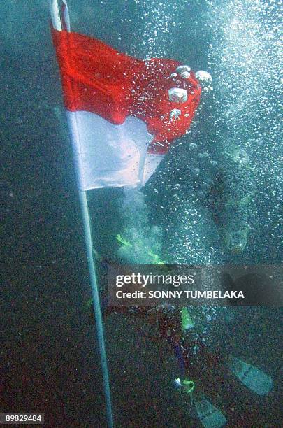 Indonesian divers display an Indonesian flag underwater off Manado, in North Sulawesi on August 17, 2009 as part of a mass dive by 2,486 scuba divers...