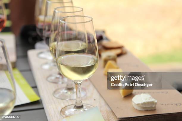 wine tasting. - durbanville stock pictures, royalty-free photos & images