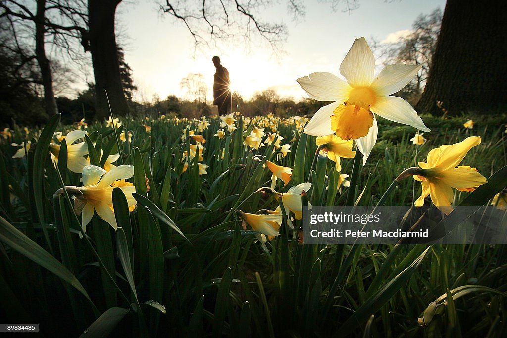 The Royal Botanic Gardens At Kew Celebrate Their 250th Anniversary