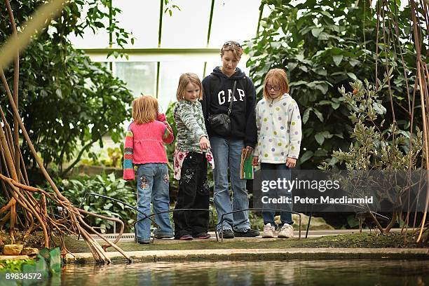 Family look at a pond inside the Princess of Wales Conservatory at The Royal Botanic Gardens, Kew on April 7, 2009 in London.