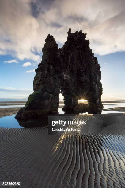 Hvitserkur, 15 m high basalt sea stack along eastern shore of the Vatnsnes peninsula, northwest Iceland.