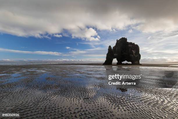 Hvitserkur, 15 m high basalt sea stack along eastern shore of the Vatnsnes peninsula, northwest Iceland.