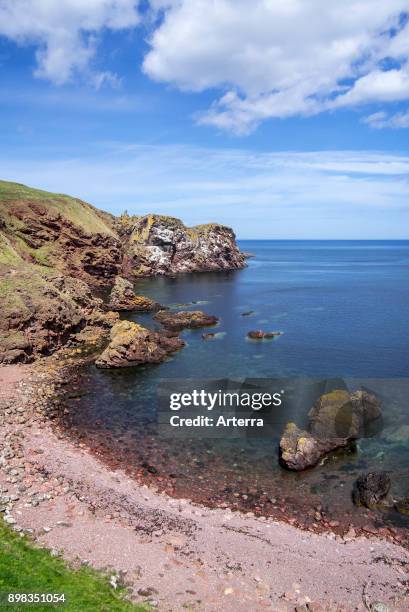 St Abb's Head, rocky promontory and seabird nature reserve near the village Saint Abbs, Berwickshire, Scotland, United Kingdom.