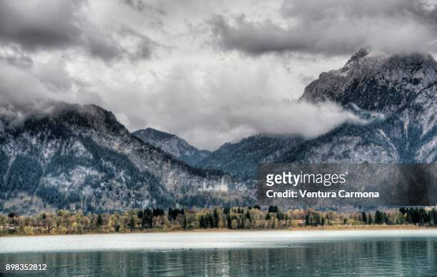 forggensee lake - bavaria, germany - neuschwanstein stock-fotos und bilder